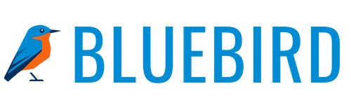 Bluebird IT Consulting